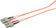 Prokord OM1-SCSC-5 InfiniBand og fiberoptisk kabel 5 m SC Orange