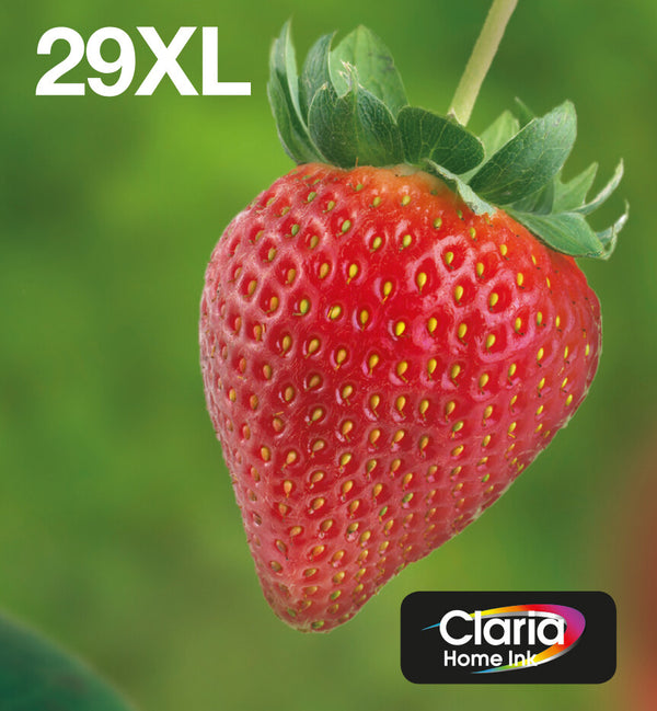 Epson Strawberry C13T29964511 blækpatron 1 stk Original Højt (XL) udbytte Sort, Blå, Magenta, Gul