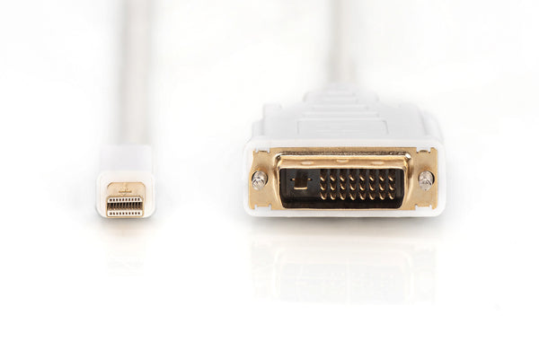 Digitus AK-340305-020-W videokabel adapter 2 m Mini DisplayPort DVI-D Hvid
