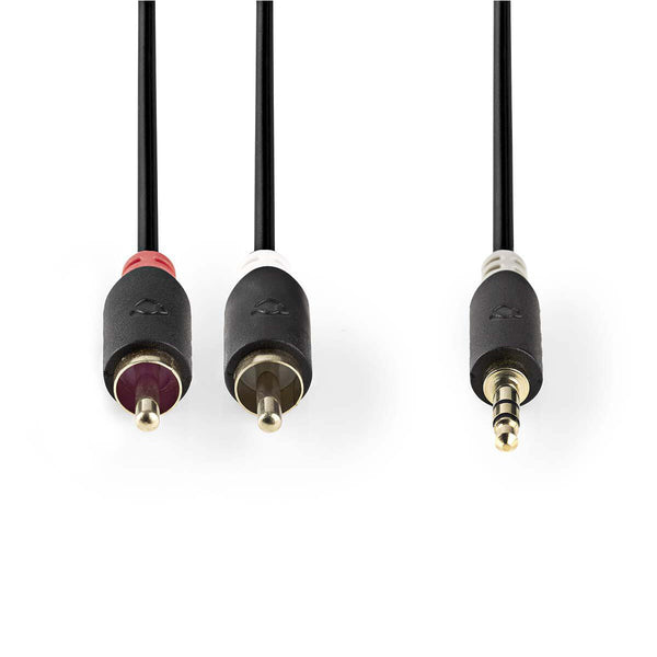 Nedis CABW22200AT10 lydkabel 1 m 3.5mm 2 x RCA Anthracit