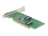 DeLOCK 90077 interface-kort/adapter Intern U.2