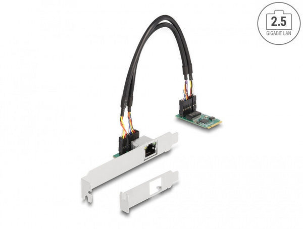 DeLOCK 95272 netværkskort Intern Ethernet 2500 Mbit/s