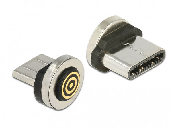 DeLOCK 65933 kabel kønsskifter USB Type-C magnet interface Sort, Rustfrit stål