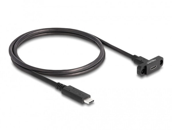 DeLOCK 87824 USB-kabel USB 3.2 Gen 2 (3.1 Gen 2) 1 m USB C 10 Gbit/sek. Sort