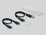 DeLOCK 42634 drevkabinet SSD kabinet Sølv M.2