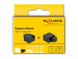 DeLOCK 87793 kilesten modul