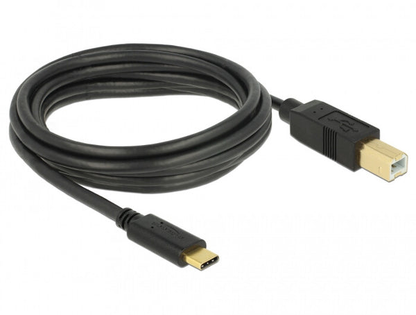 DeLOCK 83666 USB-kabel USB 2.0 3 m USB C USB B 0,48 Gbit/sek. Sort
