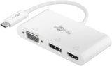 Goobay 52412 USB grafisk adapter Hvid
