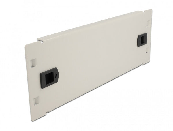 DeLOCK 66631 tilbehør til rack Blindpanel