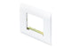 Digitus DN-93802-5-SH dækning af sokkel RJ-45 Hvid 1 stk