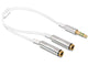 DeLOCK 65355 lydkabel 0,25 m 3.5mm 2 x 3.5mm Sølv, Hvid