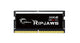 G.Skill Ripjaws F5-4800S4039A32GX1-RS hukommelsesmodul 32 GB 1 x 32 GB DDR5 262-pin SO-DIMM