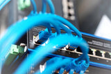 Digitus DN-650106 netværksswitch Ikke administreret L2 Fast Ethernet (10/100) Sort, Blå
