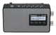 Panasonic RF-D10 Personligt Digital Sort