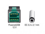 DeLOCK 85497 el-ledning Sort 1 m PoweredUSB