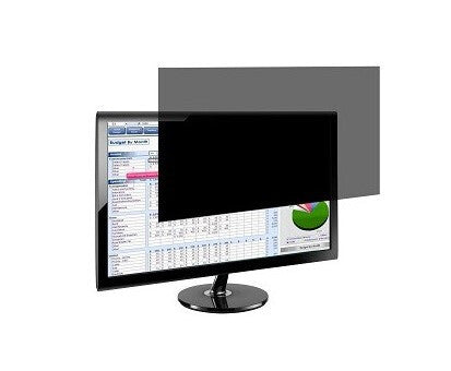 Port Designs 900354 antirefleks skærm 124,5 cm (49") Monitor