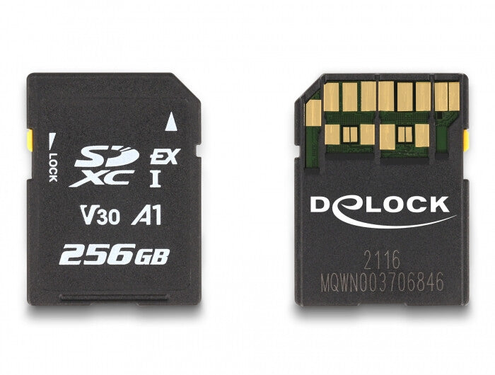 DeLOCK 54091 hukommelseskort 256 GB SD UHS-I
