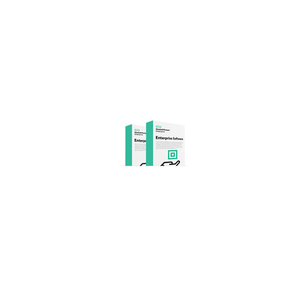 HPE StoreEver MSL2024 KMIP Encryption E-LTU 1 licens(er) Licens