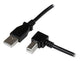 StarTech.com USBAB1MR USB-kabel USB 2.0 1 m USB A USB B 0,48 Gbit/sek. Sort