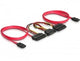 DeLOCK SATA All-in-One cable for 2x HDD SATA-kabel 0,5 m Rød