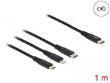 DeLOCK 87149 USB-kabel USB 2.0 1 m USB C USB C/micro-USB B/Lightning Sort