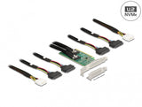 DeLOCK 90077 interface-kort/adapter Intern U.2