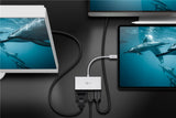 Goobay 52412 USB grafisk adapter Hvid