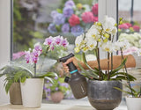 Gardena 11112-20 havesprøjte Hånd havesprøjte 1 L