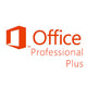 Microsoft Office Professional Plus 2013