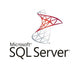 Microsoft SQL Server Web 2 licens(er) Flersproget