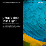 Xerox VersaLink C400/C405 cyan tonerpatron med stor kapacitet (4.800 sider)