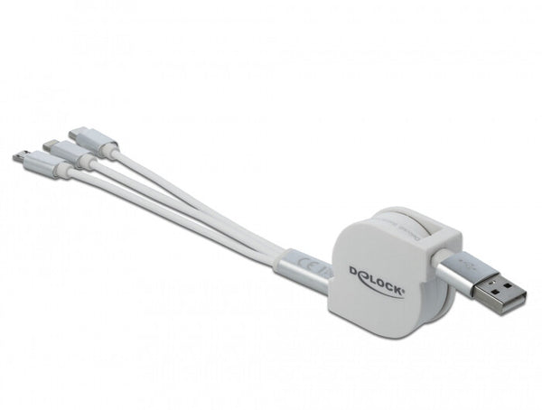 DeLOCK 85850 USB-kabel USB 2.0 0,98 m USB A USB C/Micro-USB B/Lightning Sølv, Hvid