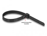 DeLOCK 19066 kabelsamler Krog og løkke kabelbinder Nylon Sort 100 stk