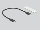 DeLOCK 42001 drevkabinet SSD kabinet Sølv M.2