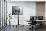 Neomounts FL50-540BL1 multimedie vogn & stand Sort Transportabelt gulvstativ
