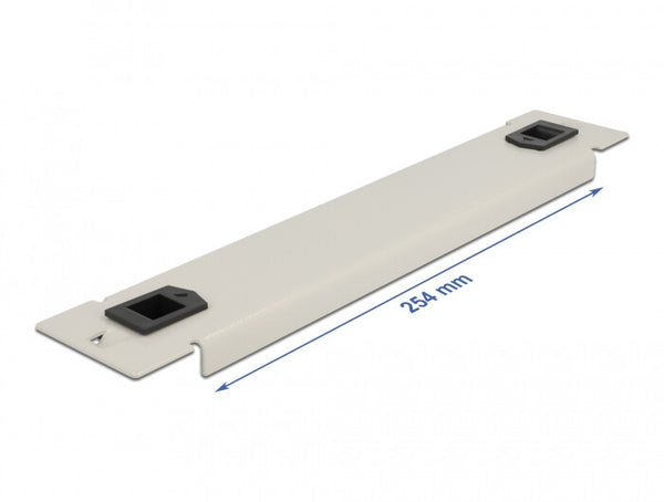 DeLOCK 66629 tilbehør til rack Blindpanel