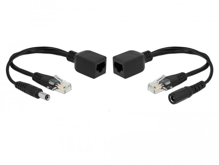 DeLOCK 66024 PoE adapter Hurtigt ethernet