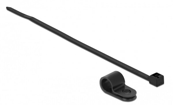 DeLOCK 18868 kabelsamler Gevindmonteret kabelbinder Nylon Sort 10 stk