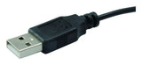 Conceptronic CLLM3BDESK mus Kontor Ambidextrous USB Type-A Optisk 800 dpi
