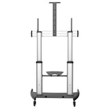StarTech.com STNDMTV100 tv-beslag 2,54 m (100") Sort, Sølv
