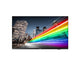 Philips 43BFL2214/12 TV 109,2 cm (43") 4K Ultra HD Smart TV Wi-Fi Sort 350 cd/m²