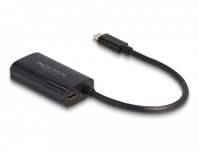 DeLOCK 61026 kabel kønsskifter USB C RJ45 Sort
