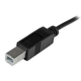 StarTech.com USB2CB2M USB-kabel USB 2.0 2 m USB C USB B 0,48 Gbit/sek. Sort