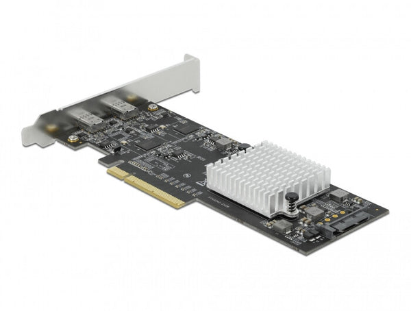 DeLOCK 89009 interface-kort/adapter Intern USB 3.2 Gen 2 (3.1 Gen 2)