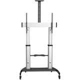 StarTech.com STNDMTV100 tv-beslag 2,54 m (100") Sort, Sølv