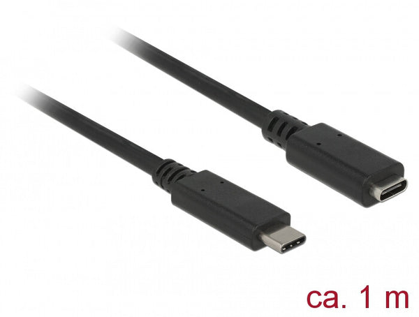DeLOCK 85533 USB-kabel USB 3.2 Gen 1 (3.1 Gen 1) 1 m USB C 5 Gbit/sek. Sort