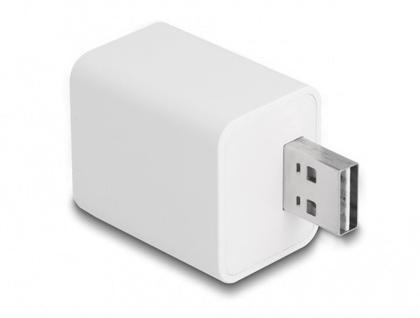 DeLOCK 11828 smart stik Hjem Hvid