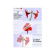 Olympia 1x100 DIN A5 80 micron plastlomme 100 stk