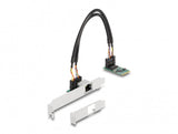 DeLOCK 95272 netværkskort Intern Ethernet 2500 Mbit/s