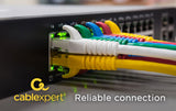Gembird PP6U-0.25M/G netværkskabel Grøn 0,25 m Cat6 U/UTP (UTP)